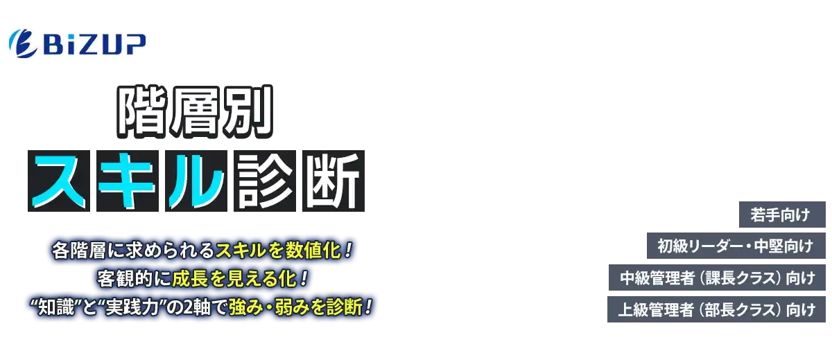 階層別スキル診断